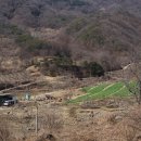 큰빛농장 Daum카페