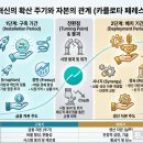 딥다이브