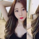 일화로또