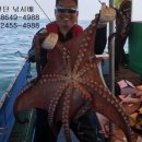 채비 주식회사 이미지