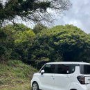 (제주도/구좌)제주샌드위치집 라마네의식주 내돈내산 리뷰