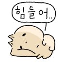 루이비스컨벤션예약
