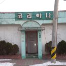 코리아나나이트클럽 이미지