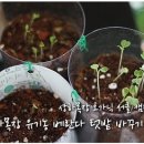 소한목장 이미지