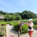 다혜-목장 이미지