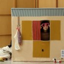 플랜티풀랜드 이미지