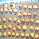 [4분기] 제빵기능사 이미지