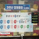 원경회신대게