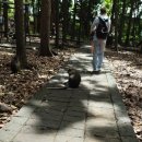 몽키세탁소 이미지