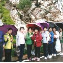 미륵농장 이미지