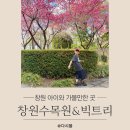 (주)창원정보통신 | 창원 아이와 가볼만한곳 🌸창원수목원 &amp; 빅트리 다녀온 후기