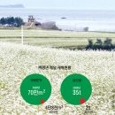 백령신화동냉면 이미지