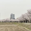 오목천교 이미지
