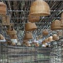 운수대통마을 이미지