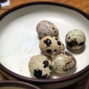 맛기행사계절 - 서초구 서초대로42길 92 | 맛기행사계절