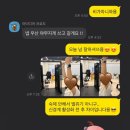 리헬브짐 이미지