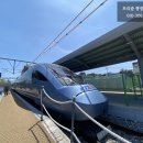 태백 행정사사무소 이미지