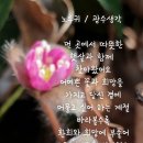 사랑의 소나기 이미지