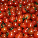 한솔종합사회복지관 이미지