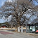 충간공 보물 제651호 박물관 이미지