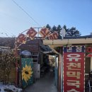 금송아지목장 | 대관령┃맛집, 연소담 나동, 실버벨 교회, 애니포레 (내돈내산)