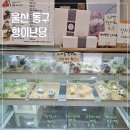 울산 레터링케이크 향이난당 마카롱 포장 후기