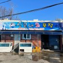 [속초 회 포장 맛집] 신유네 회포장 후기 및 예약 꿀팁 (feat. 속초 인생 횟집)