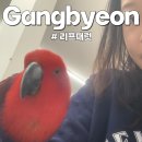 리프패럿광진구 | 강변역 놀거리 추천 '리프패럿'에서 귀여운 서울 앵무새 카페에서 이색 체험