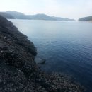 통영수질환경사업소 이미지