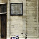 파트라슈&네로 이미지