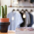 우리행정사 이미지