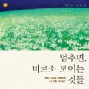 비로소