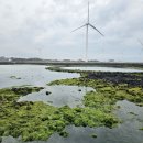 바다목장식당 이미지