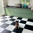 삼농장 | 강원도 홍천 애견동반 독채 펜션 숙소 ‘두지네윗집’ 연박 후기!