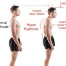 시퀀스무브먼트 이미지