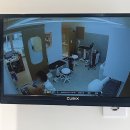 라우프독 이미지