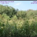 야미리보건진료소 이미지