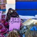 1월 4주ㅣ동에 번쩍 서에 번쩍