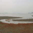 순천만둥지 이미지