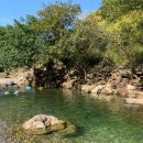 동막2농장 이미지