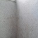 수송세영리첼 이미지