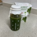 로하스웰빙 | 덴마크 유기농 케일파우더 칼로하스 KaLOHAS 먹어본 후기