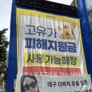 이노티안경 대구반월당점 | 대구 안경점 추천, 다비치안경 대구 동성로점에서 안경 맞춘 후기