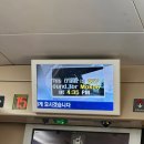 해미아구찜 | 목포출신 민잉과 함께한 2박3일 남북원 목포여행 대문자 J의 코스 추천+목포역 근처 숙소 추천