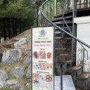 테이스팅독 이미지