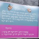 강릉 홍제동 곱창 맛집 왕소곱창 현지인방문 후기