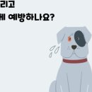 서울대동물종합병원 이미지
