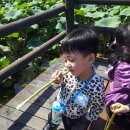 방죽어린이집 이미지