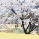 신라컨트리클럽 네이버블로그