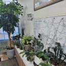 긍정공인중개사사무소 이미지